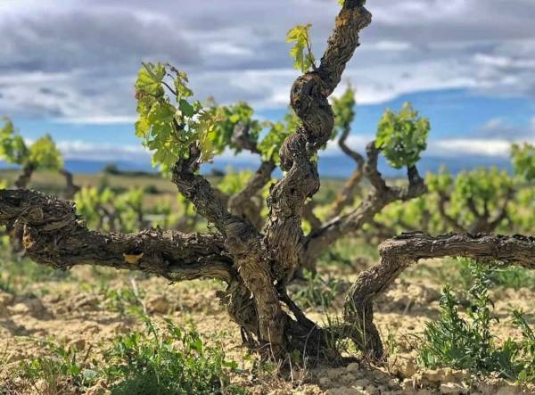 Luis Gutiérrez Santo Domingo