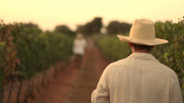 Bodega-Torralbenc