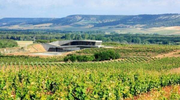 Bodega-Tresmano