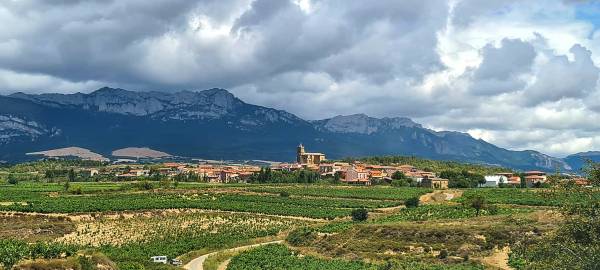 Bodegas Remírez de Ganuza