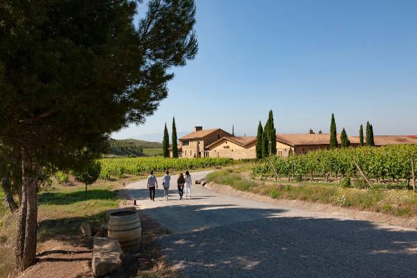 Enoturismo en Rioja Alavesa