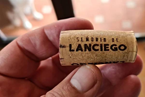 Corcho-Lanciego