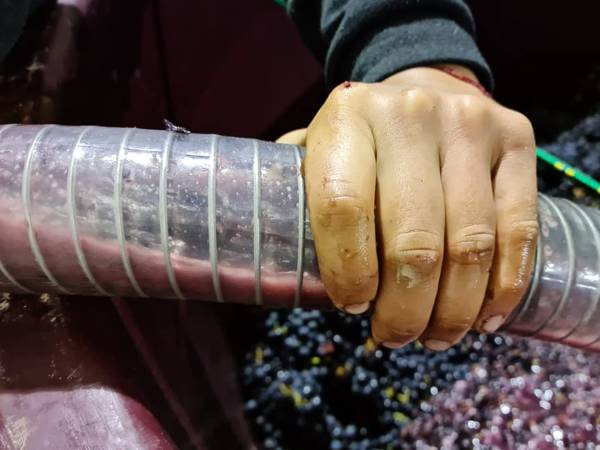 MANO-MANGUERA