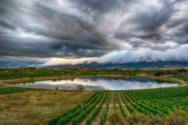 Buenas noticias en Rioja Alavesa