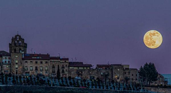 Buenas noticias en Rioja Alavesa