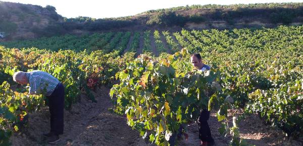 Agricultura