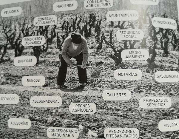 Euskadi sin agricultores Euskadi sin agricultores