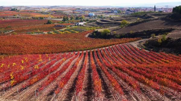 Agricultura