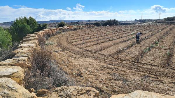 FINCA-GENERAL