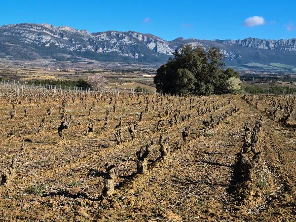 LA-FINCA