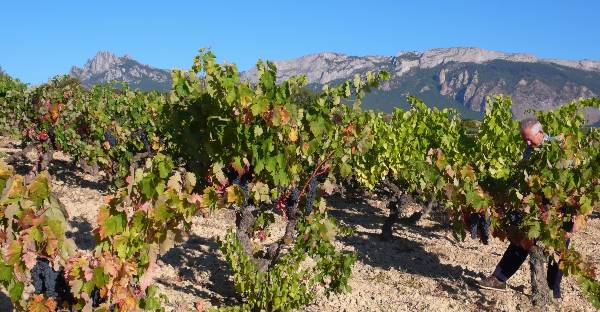 Agricultura