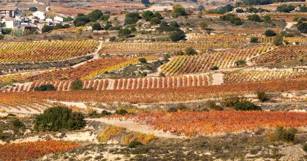Agricultura