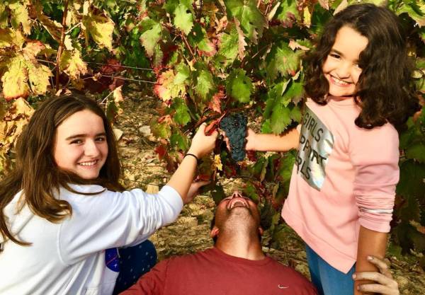 Tierra de Lanciego. Entrevista a Juantxu Mendieta, de la bodega Mendieta Osaba Wines.