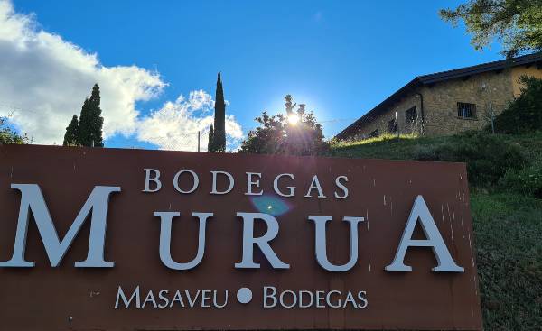 Viticultura regenerativa de Bodegas Murua, en Elciego.