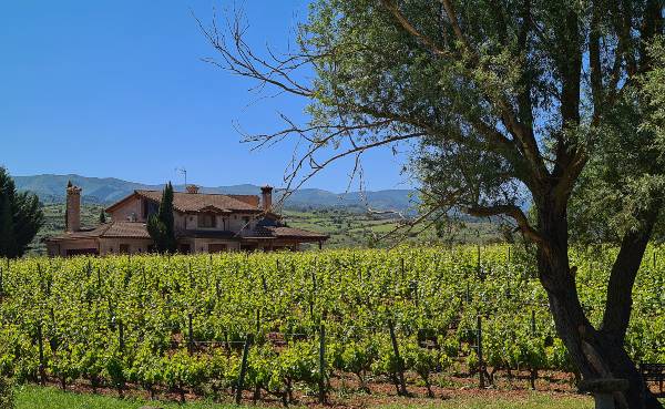 Casa-Vinedo