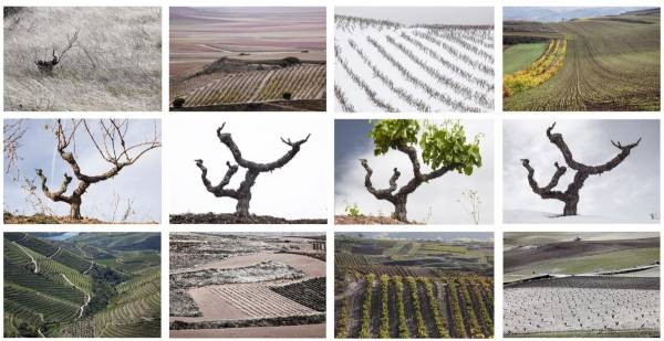 Paso-Estaciones