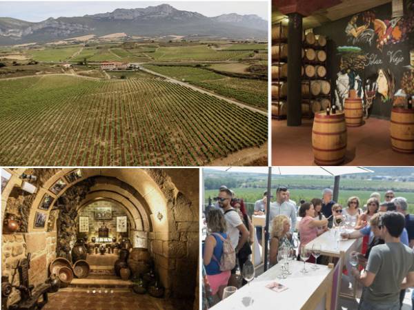 Verano enoturista en Rioja Alavesa