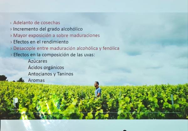Curso de verano: nuevas tendencias en el mundo del vino y en Euskadi