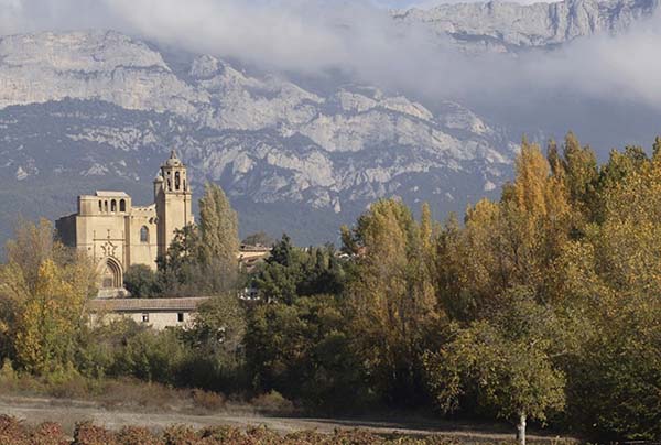 Camino Santiago por Rioja Alavesa