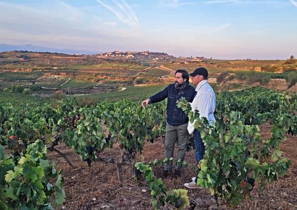Proyecto Residence Wines