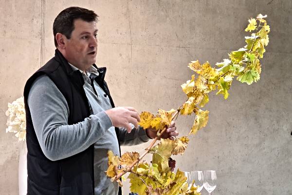 Expandir la Cultura del Vino entre la Hostelería, 1er Curso Basque Sumiller