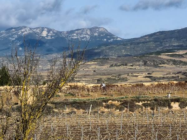 FINCA-SIERRAA