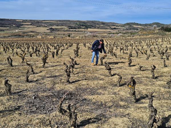 Entrevista a Pablo Martínez de Bodegas Aladro