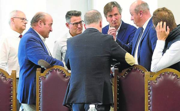 “Nos han atado de pies y manos”, lamentan en Viñedos de Álava