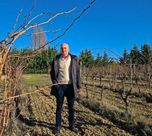 “Nos han atado de pies y manos”, lamentan en Viñedos de Álava