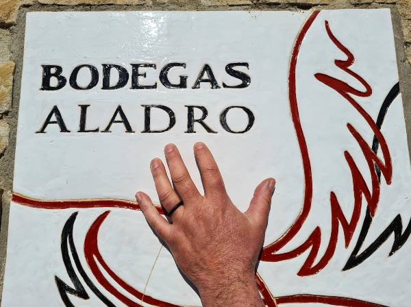 Entrevista a Pablo Martínez de Bodegas Aladro