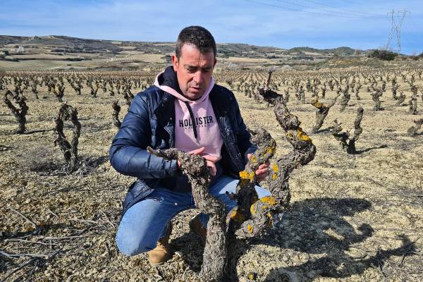 Entrevista a Pablo Martínez de Bodegas Aladro