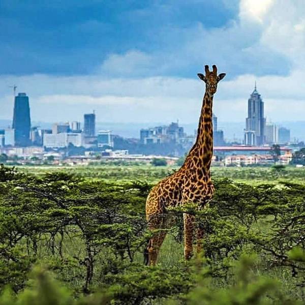 Nairobi-turism