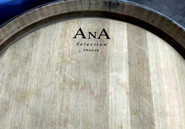 Ana-Selection