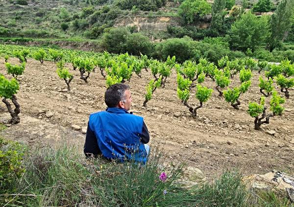 CONTEMPLA-VINA