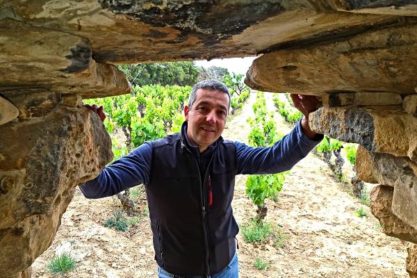 La gran zona de vinos del mundo