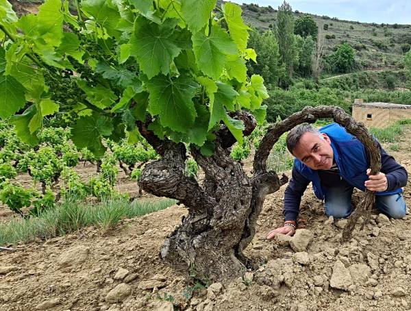 Una vida dedicada al vino
