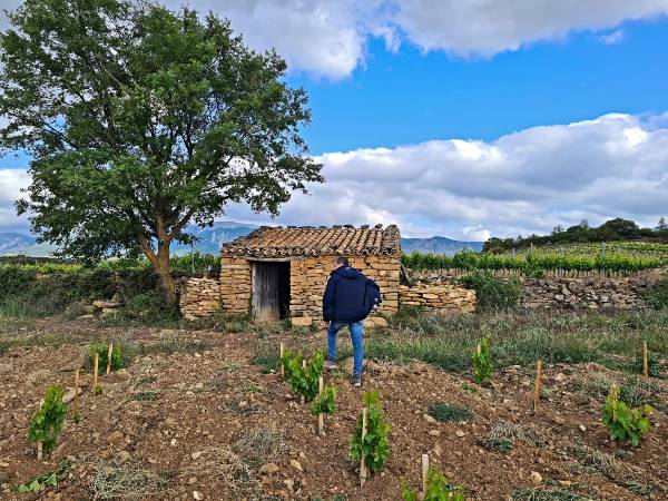 La gran zona de vinos del mundo