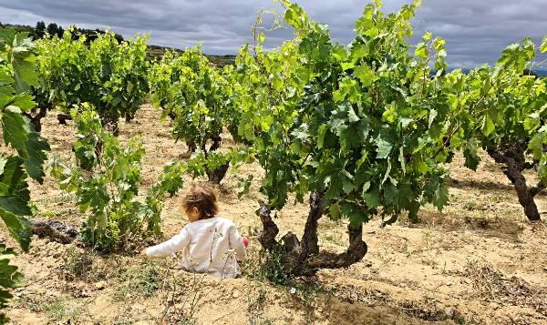 Una vida dedicada al vino
