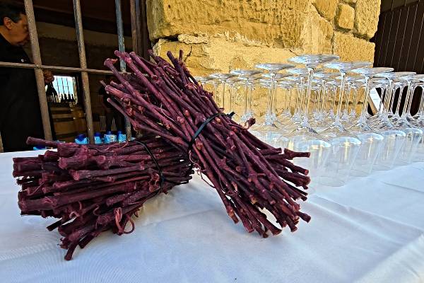 Martes of Wine