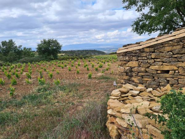 Vina-Casa