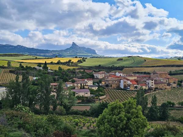La gran zona de vinos del mundo