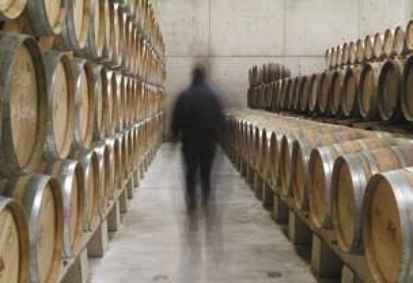 Una vida dedicada al vino