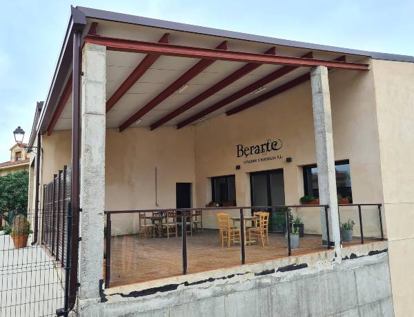 entrevista-inmaculada-berrueco