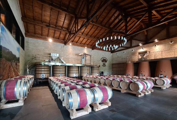 Bodega-Puntido