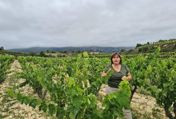 GENERAL-VINA