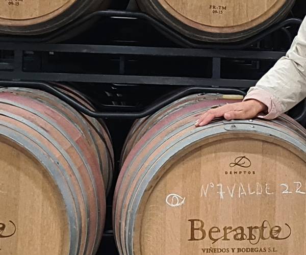 entrevista-inmaculada-berrueco