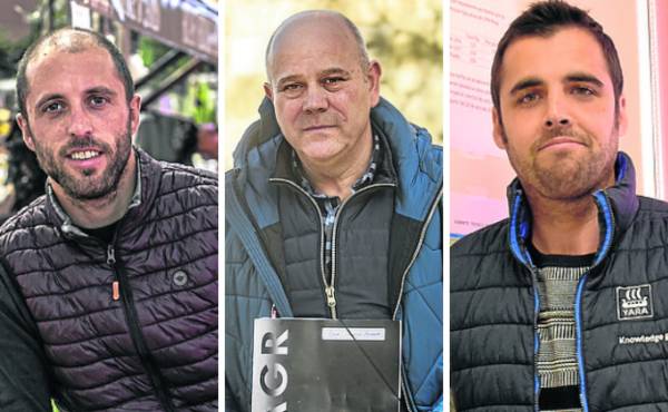 TRIO-CAMPO