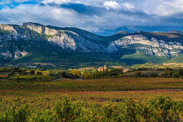 Sierra-Vinas