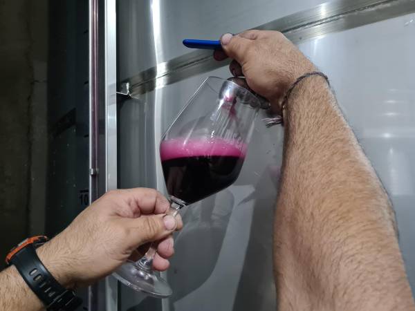 COPA-VINO