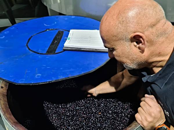 El último día de vendimias de 2023